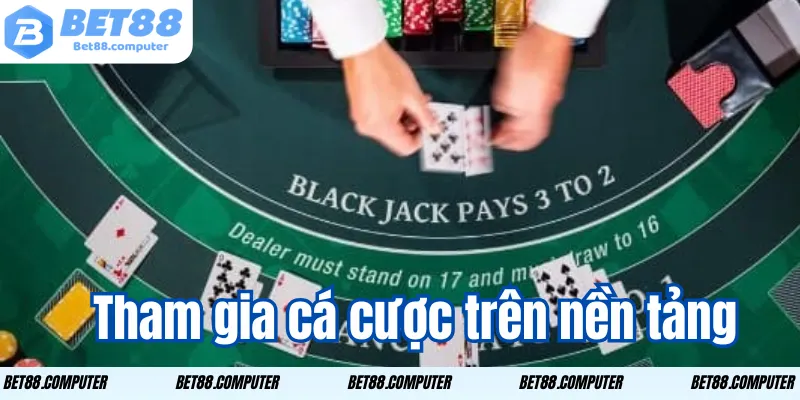 Tham gia cá cược trên nền tảng
